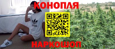 амф Прокопьевск